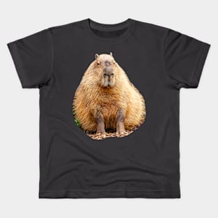 Cuddly Capy! Kids T-Shirt